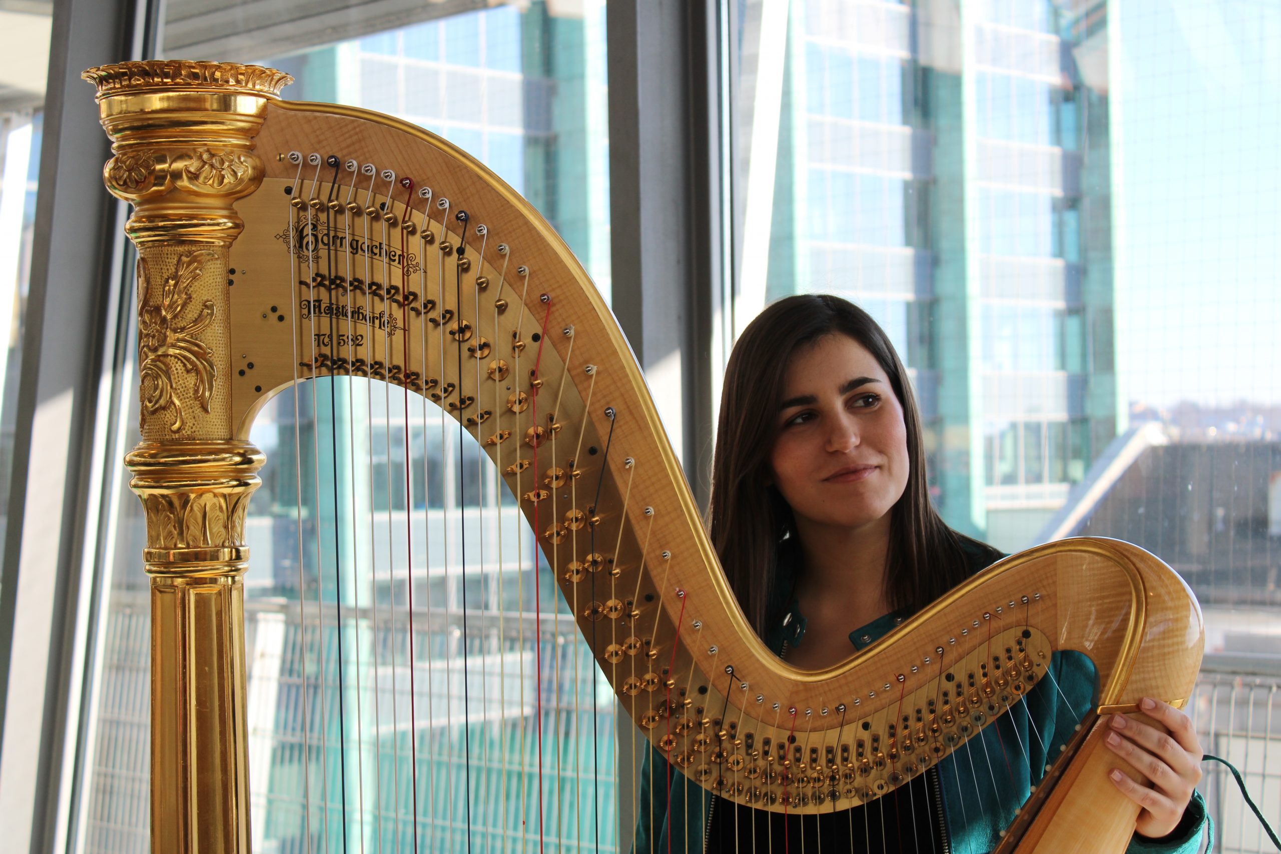 Harpist & Educator