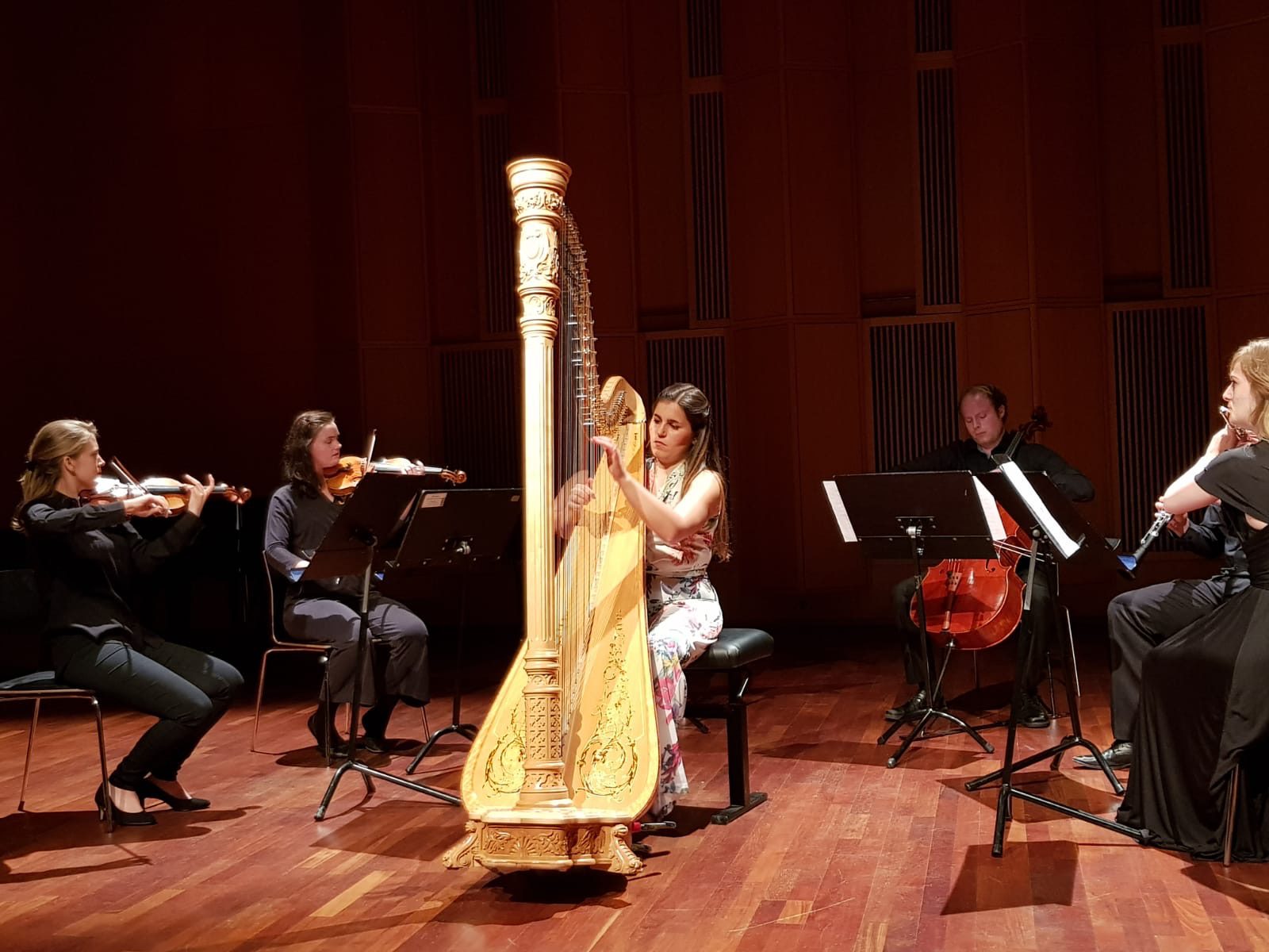 Musik Chamber Studio