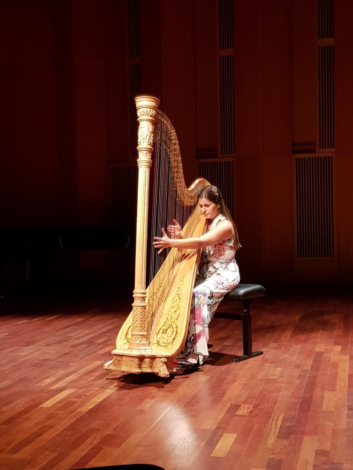 Harfenunterricht Frankfurt